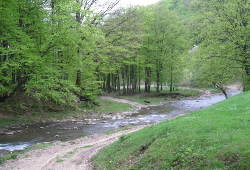 Поляна з panoramio.com - Поляна