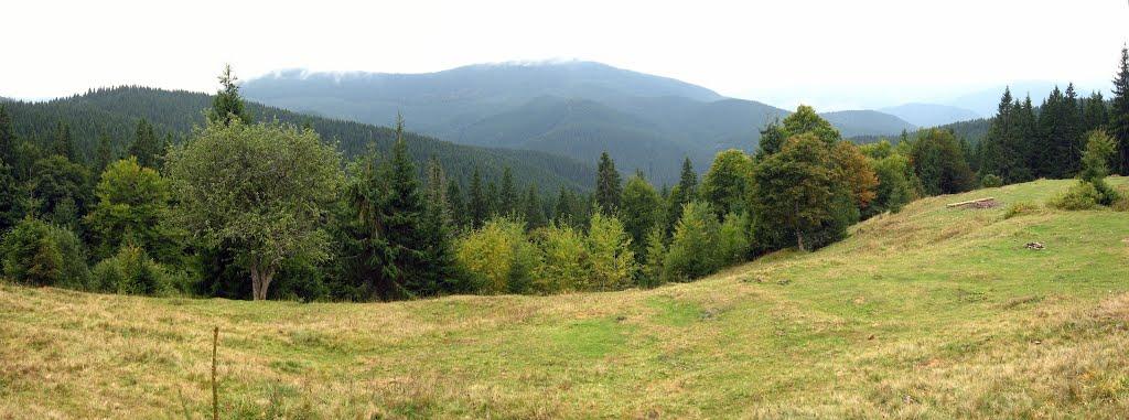 Згари з panoramio.com - Згары