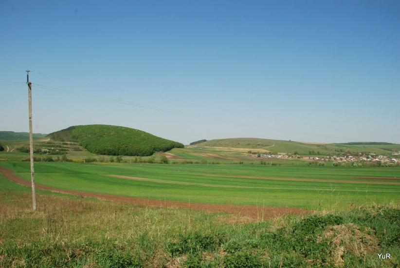 Гиновичі з panoramio.com - Гиновичи