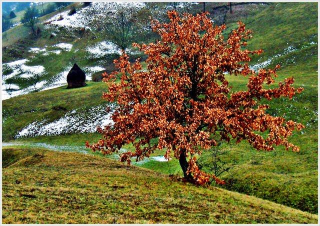 Хмелів з panoramio.com - Khmeliv