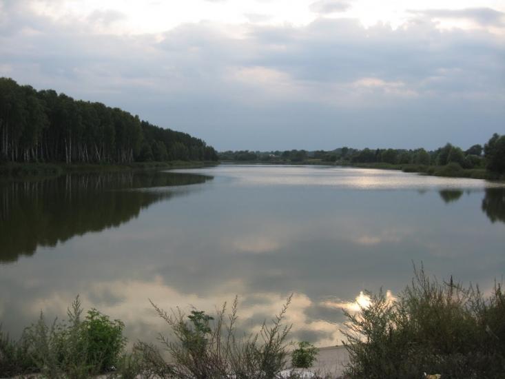 Рогощі з panoramio.com - Рогощи