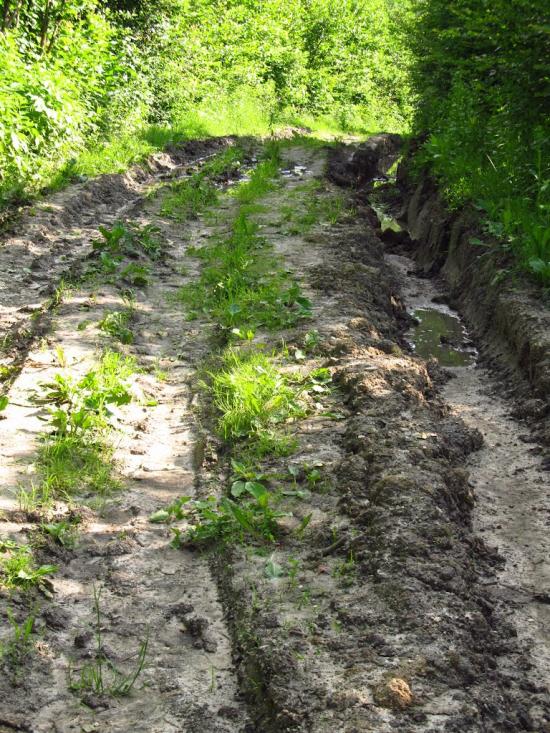 Маркова з panoramio.com - Маркова