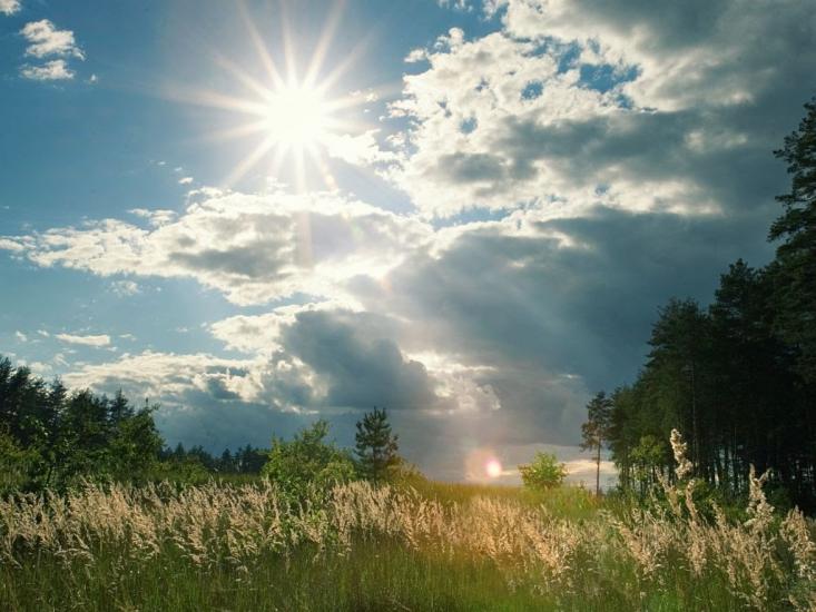 Писарівка з panoramio.com - Писарівка