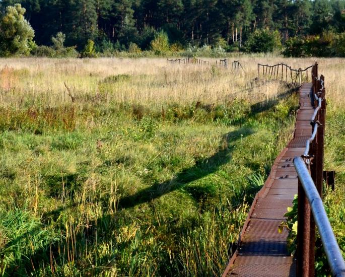 Писарівка з panoramio.com - Писарівка