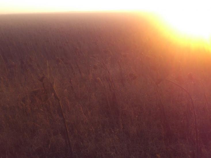 Сурсько-Литовське з panoramio.com - Сурсько-Литовське