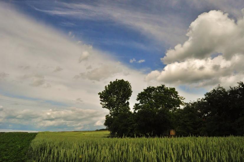 Гринів з panoramio.com - Гринів