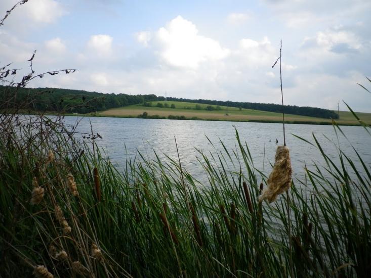 Северинівка з panoramio.com - Северинівка