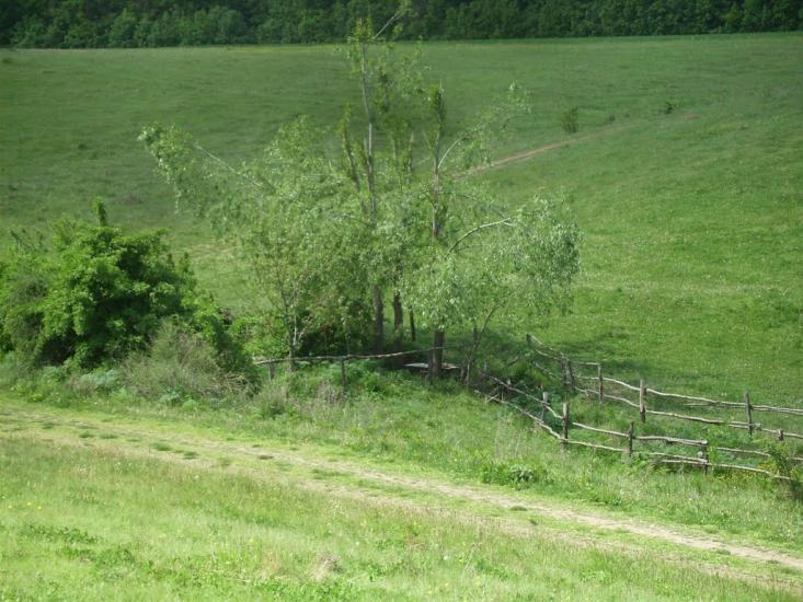 Велика Киріївка з panoramio.com - Велика Киріївка