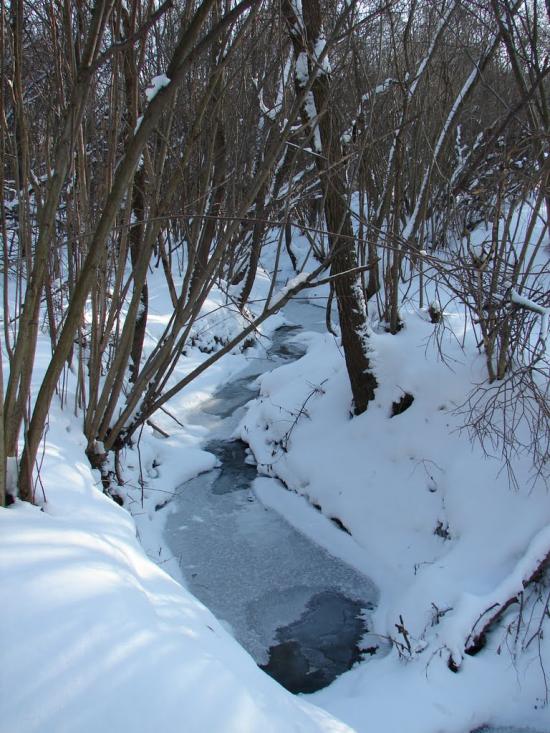 Мохначі з panoramio.com - Мохначі