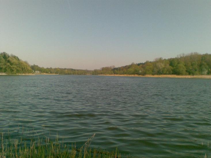 Малечковичі з panoramio.com - Малечковичі