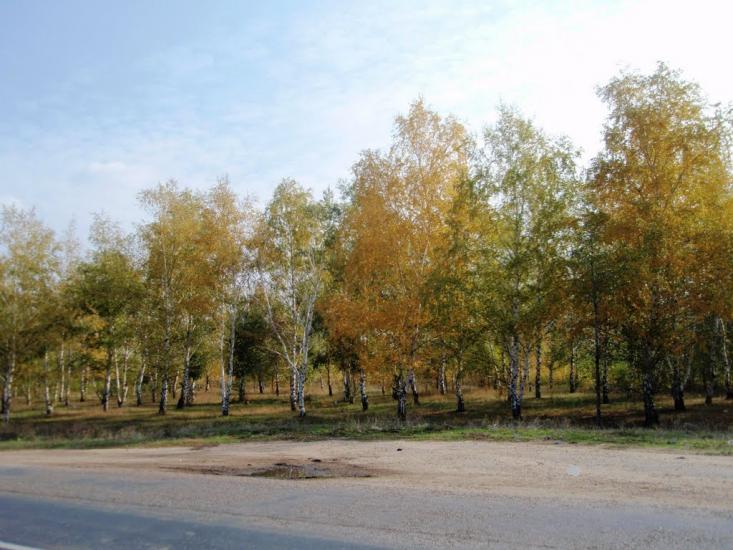 Басань з panoramio.com - Басань