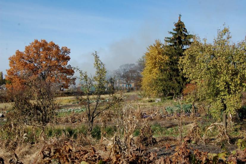 Кудряшівка з panoramio.com - Кудряшовка