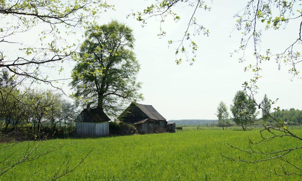 Звози з panoramio.com - Zvozy