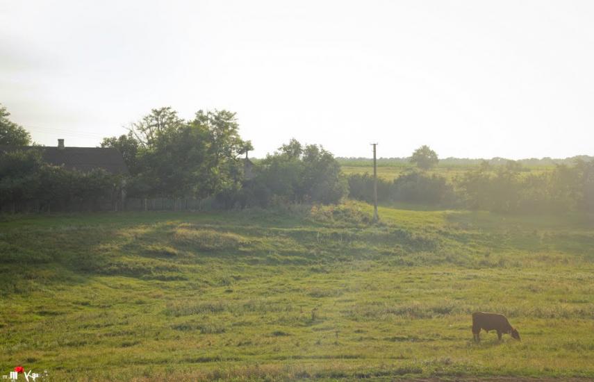 Раухівка з panoramio.com - Раухівка