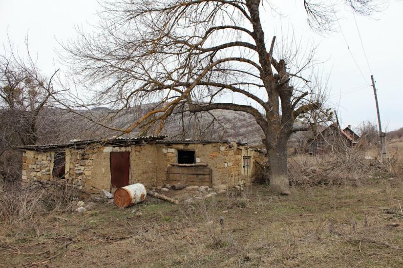 Пчолине з panoramio.com - Pcholyne
