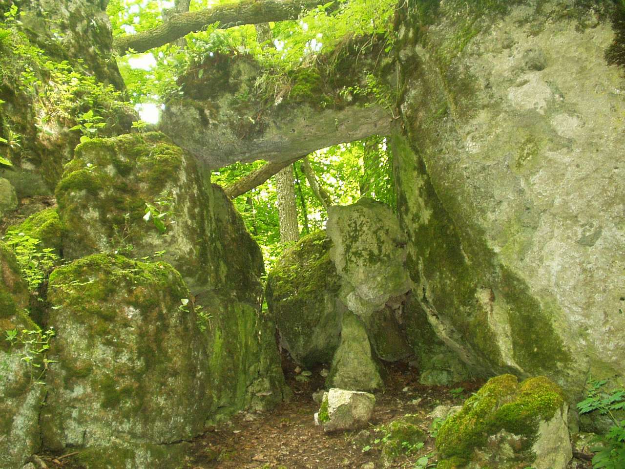 природа - Городниця