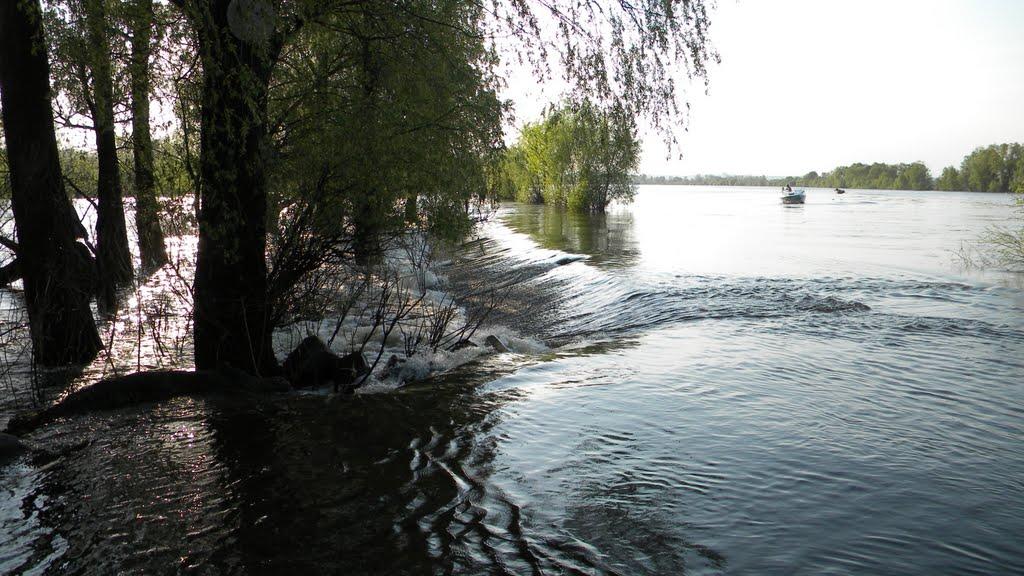 Хотянівка з panoramio.com - Хотяновка