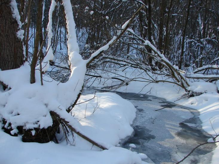 Мохначі з panoramio.com - Мохначі