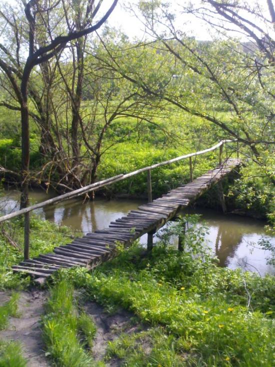 Голозубинці з panoramio.com - Голозубинці