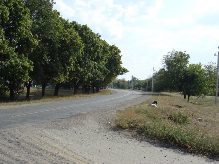 Кудашівка з panoramio.com - Кудашівка