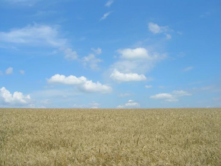 Северинівка з panoramio.com - Северинівка