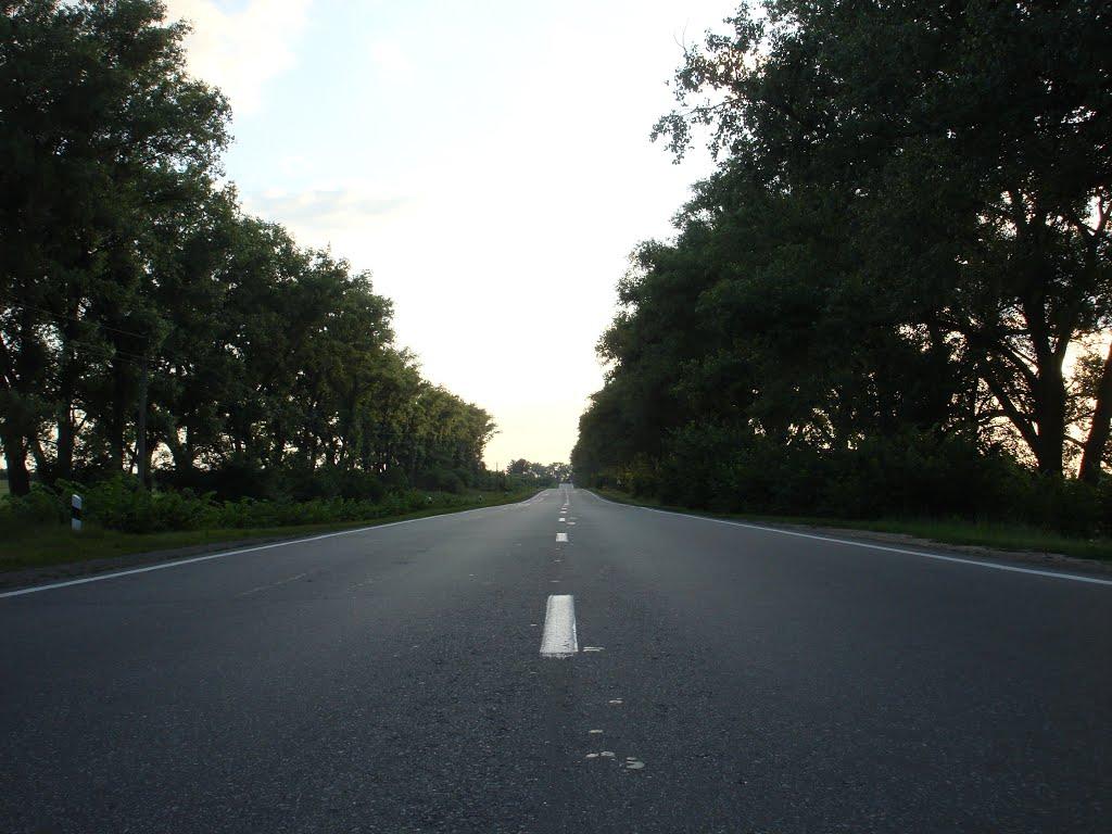Білогородка з panoramio.com - Белогородка