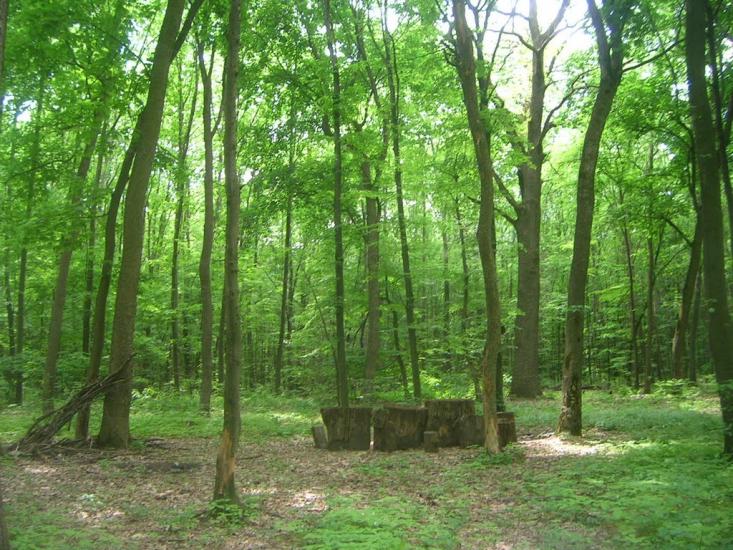 Володимирівка з panoramio.com - Володимирівка