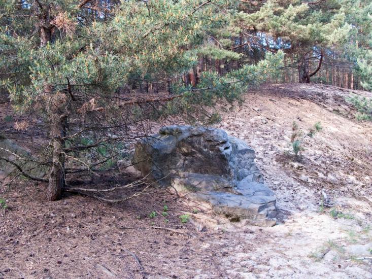 Луковиця з panoramio.com - Луковица