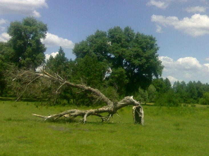 Чапліївка з panoramio.com - Чапліївка