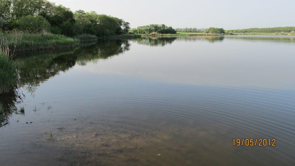 Кузнецово-Михайлівка з panoramio.com - Кузнецово-Михайлівка