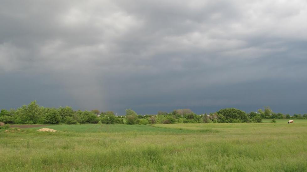 Пронозівка з panoramio.com - Пронозівка