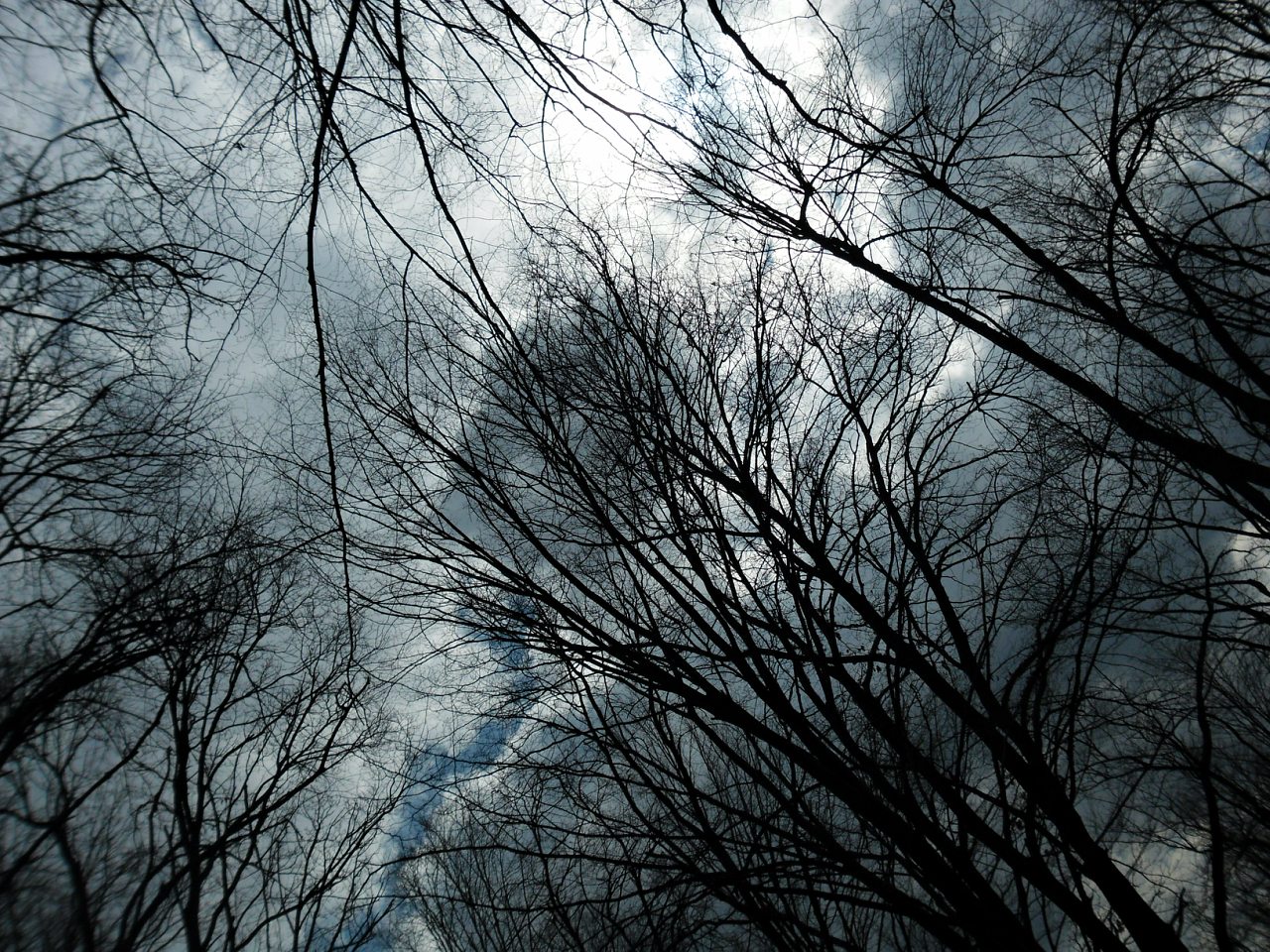 с.Бабчинці - Бабчинці