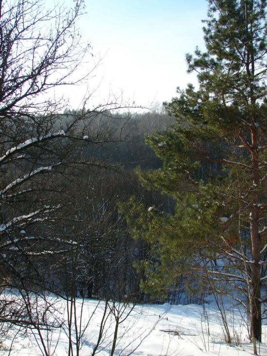 Мохначі з panoramio.com - Мохначі