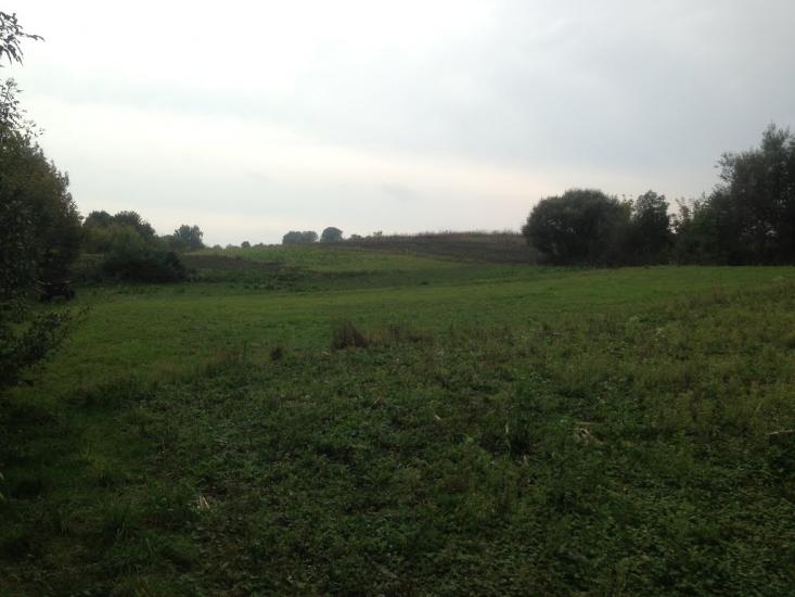 Тишевичі з panoramio.com - Тишевичі