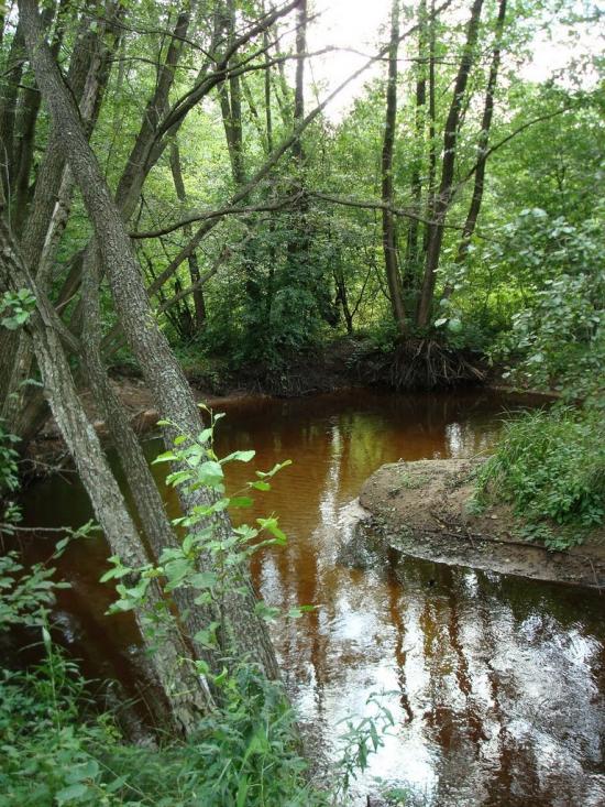 Хрипськ з panoramio.com - Хрипск