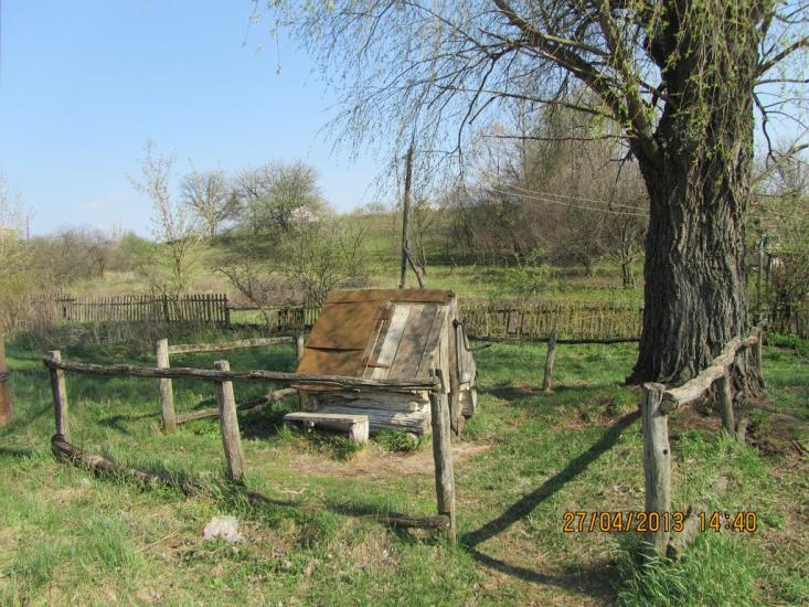 Cусіднє село Миронівка з panoramio.com - Masliyi