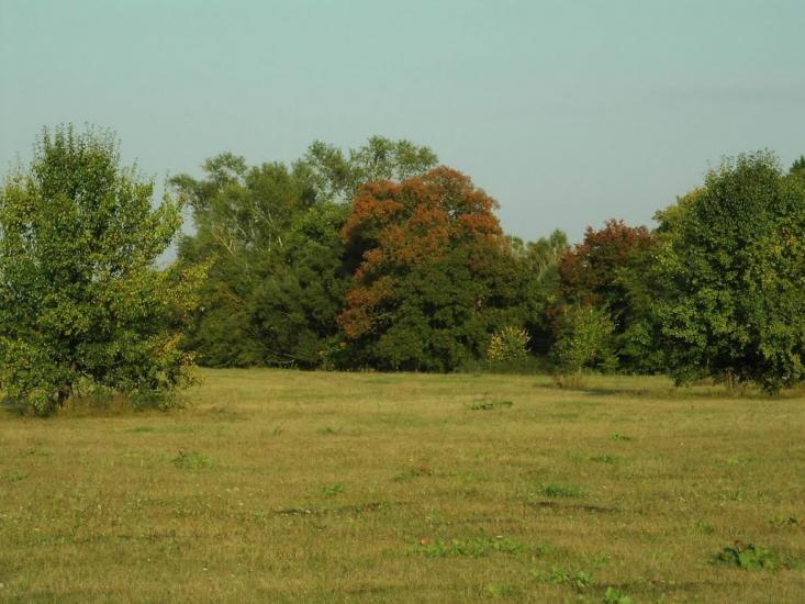 Приліпка з panoramio.com - Прилипка