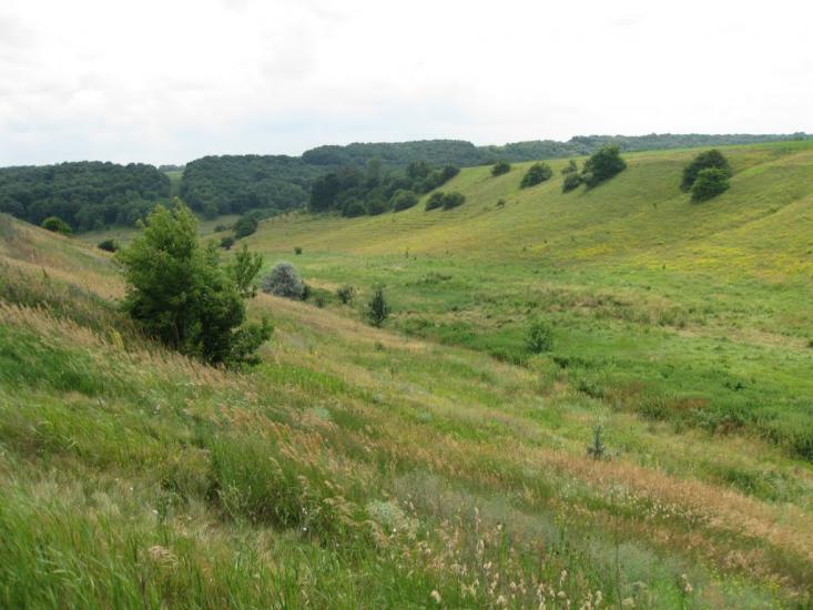 Саранчине з panoramio.com - Саранчине