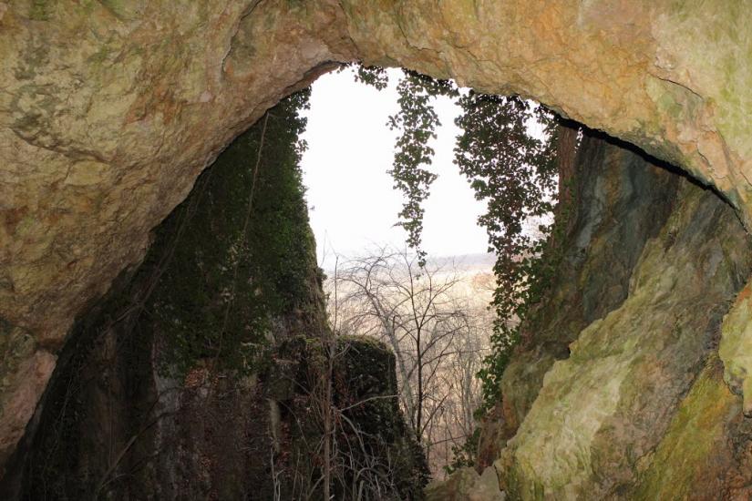 Пчолине з panoramio.com - Пчелиное