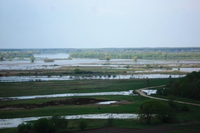 Любеч з panoramio.com - Любеч