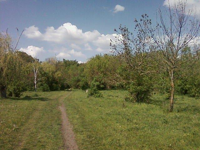 Агрономія з panoramio.com - Агрономія