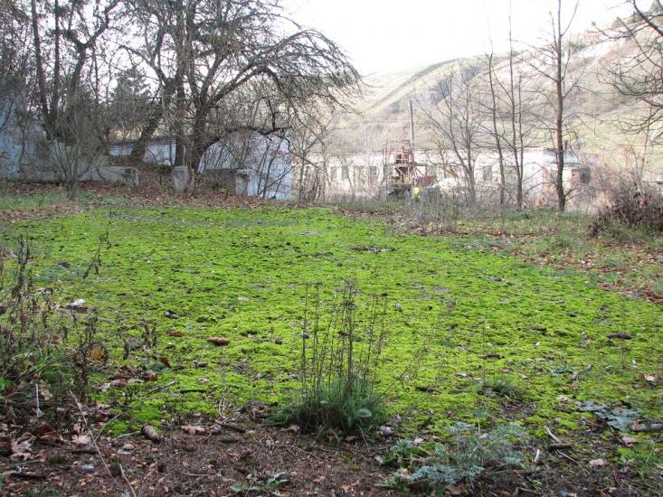 Гуменці з panoramio.com - Гуменці