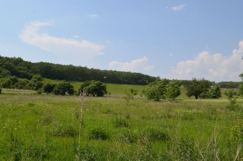 Дергачі з panoramio.com - Дергачи