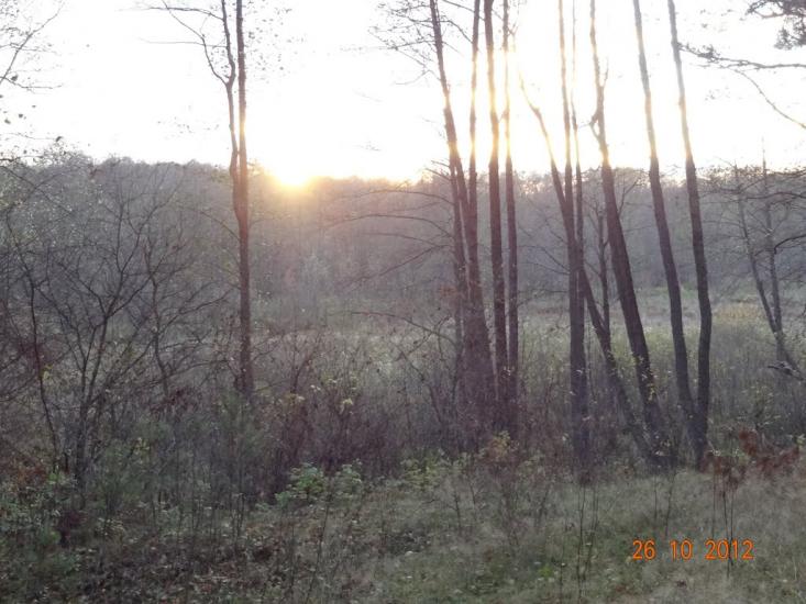 Корюківка з panoramio.com - Корюківка