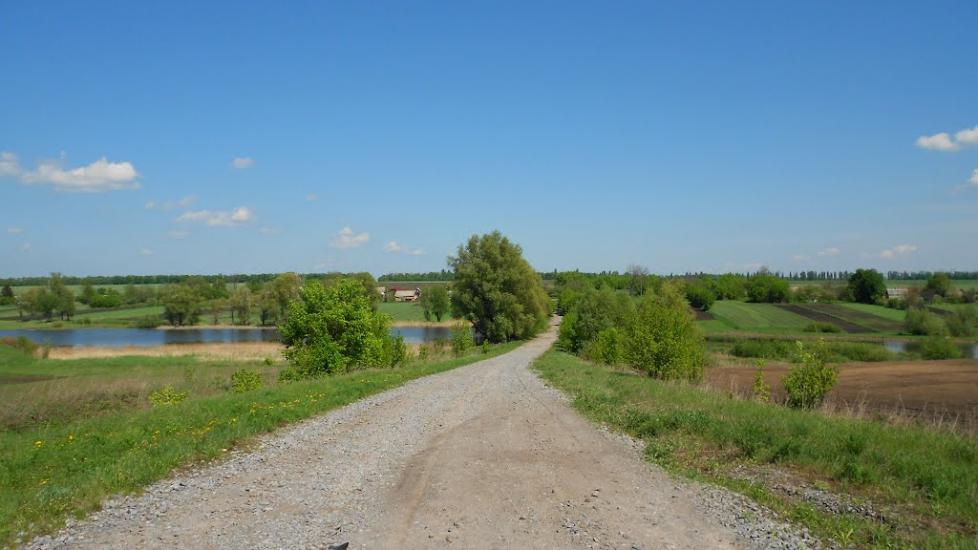 Королівка з panoramio.com - Королівка