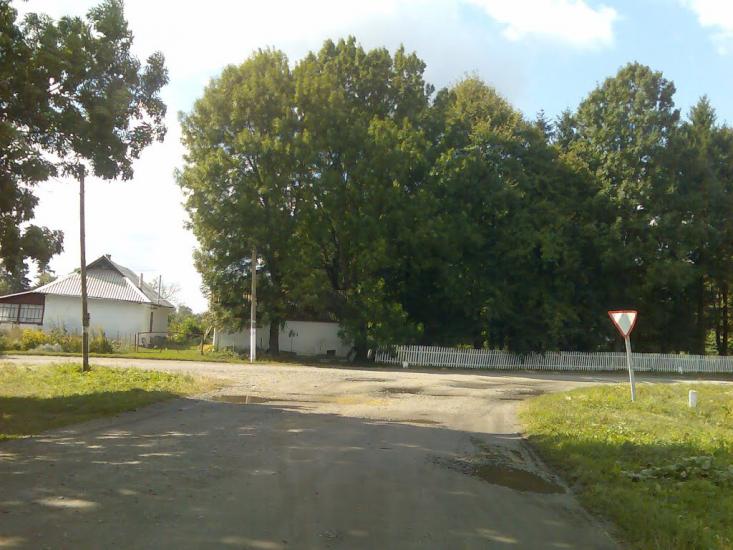 Баглаї з panoramio.com - Баглаї