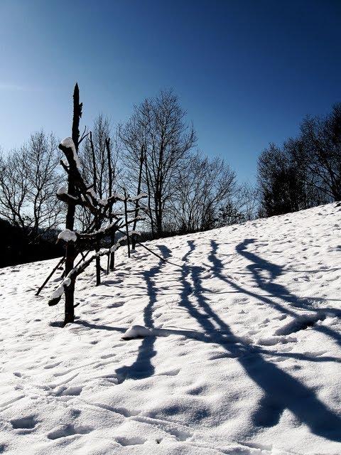 Хмелів з panoramio.com - Khmeliv