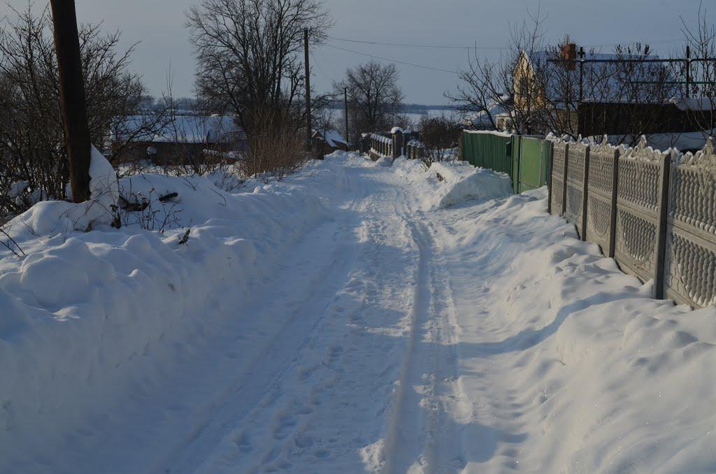 Великий Митник з panoramio.com - Великий Митник