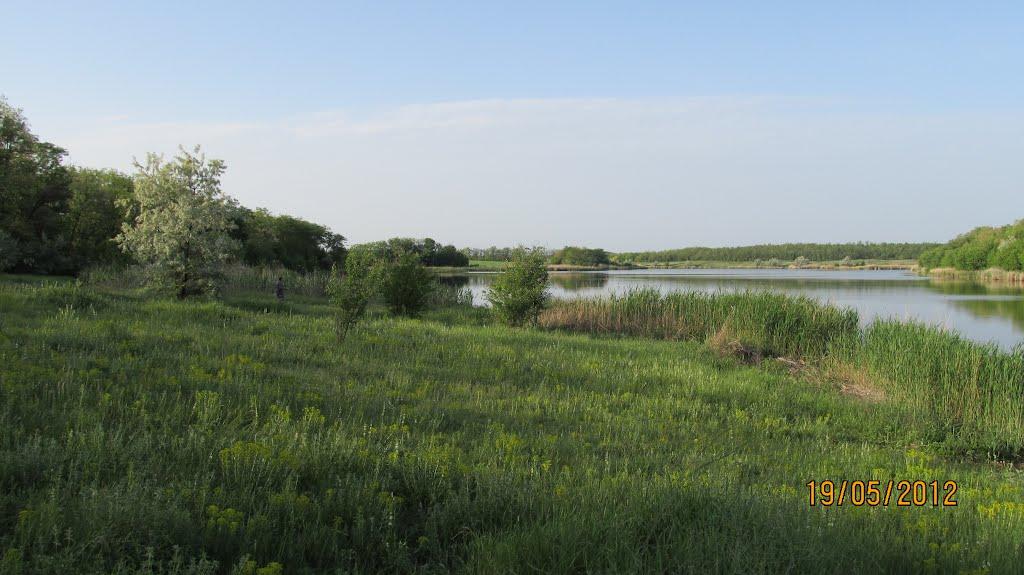 Кузнецово-Михайлівка з panoramio.com - Кузнецово-Михайлівка