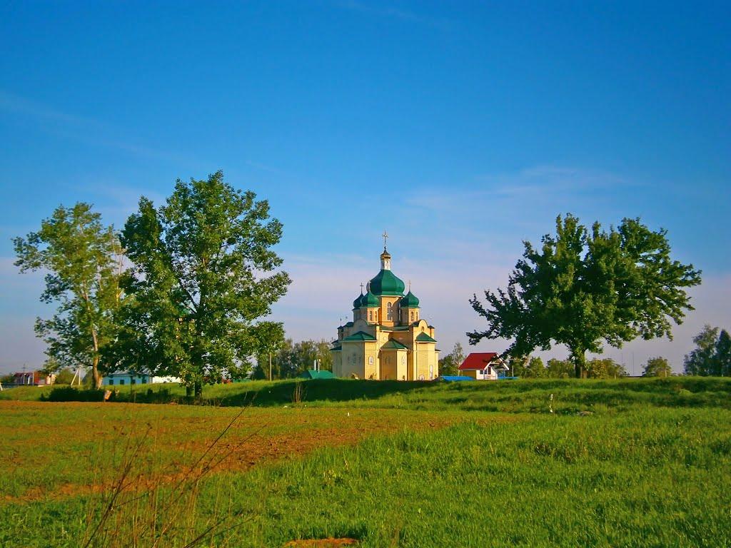 Білогородка з panoramio.com - Белогородка